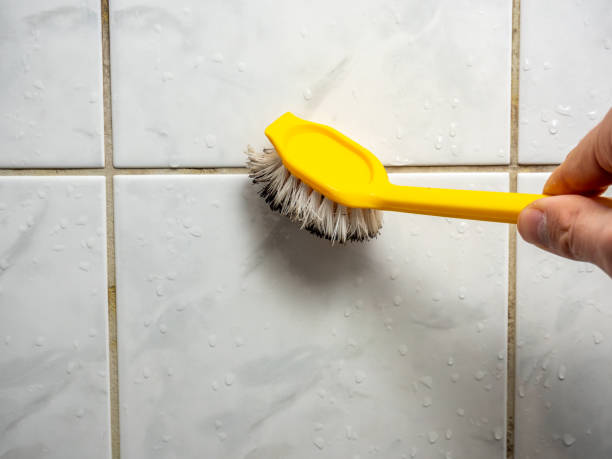 Mold Removal Process in Barrington, NJ