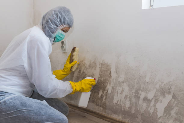 Crawl Space Mold Removal in Barrington, NJ