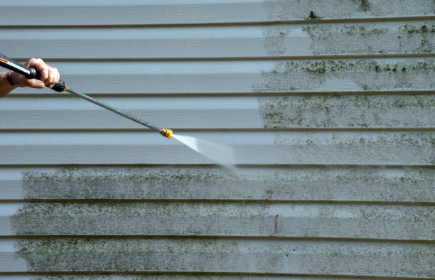 Best Certified Mold Removal  in Barrington, NJ
