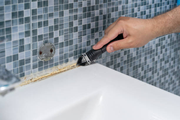 Best Mold Removal Company Near Me  in Barrington, NJ