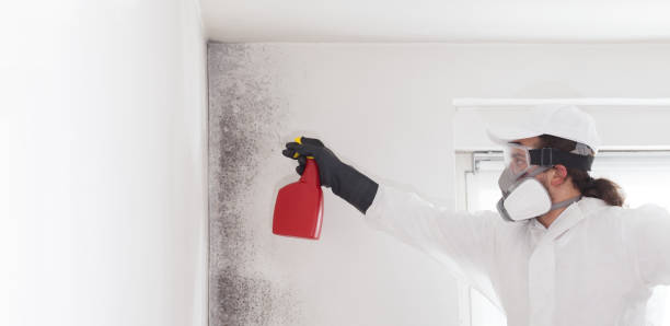 Best Crawl Space Mold Removal  in Barrington, NJ