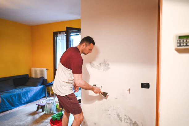 Reliable Barrington, NJ Mold Removal Solutions