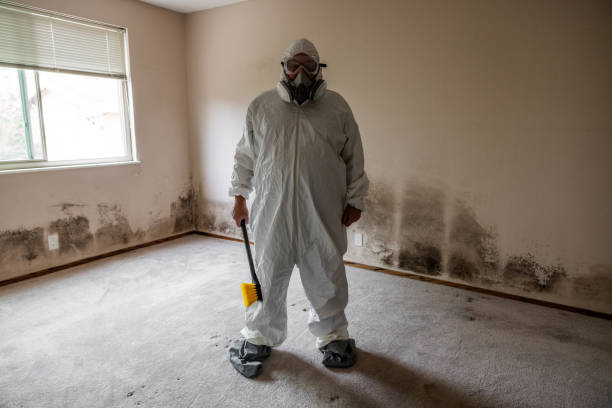 Home Mold Removal in Barrington, NJ